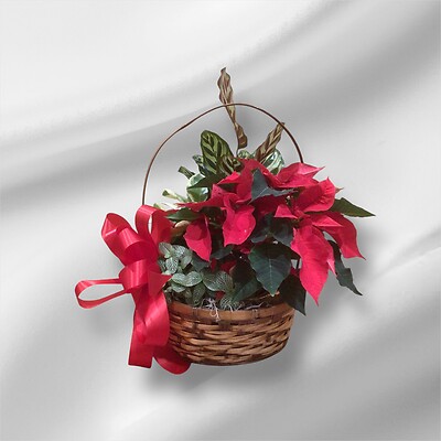 Holiday Plant Basket