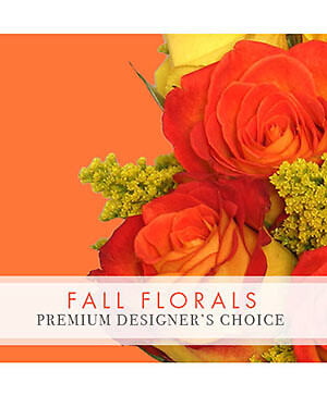 Fall Designers Special